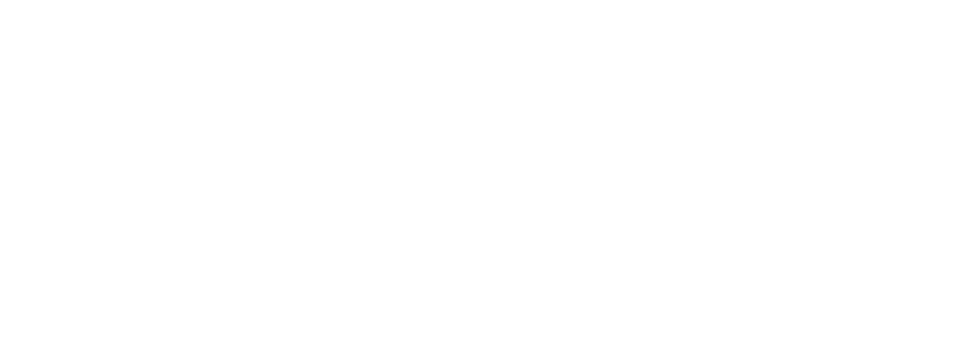 Porsche | Client | LIGANOVA